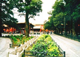 Imperial Garden of Beijing Forbidden City